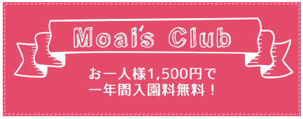 Moais Club お一人様1,000円で一年間入園料無料！